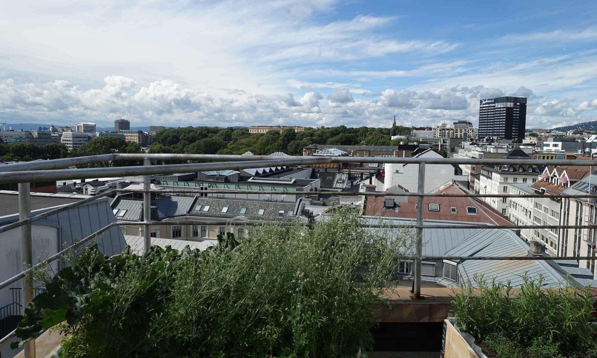 Thon Rosenkrantz Oslo